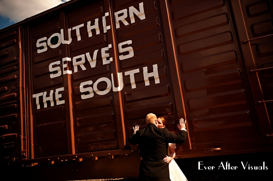 southern serves the south train image