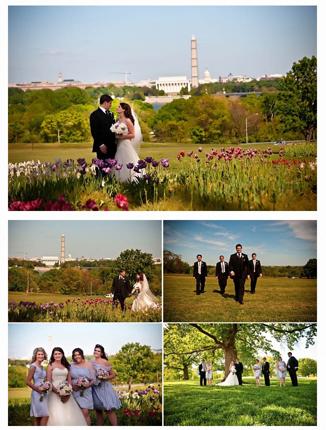 Bridal party with DC in background